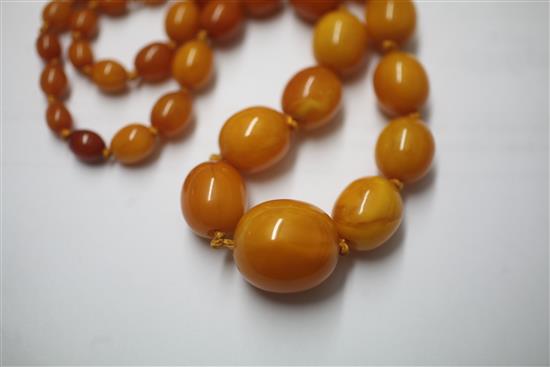 A single strand graduated oval amber bead necklace, 44cm.